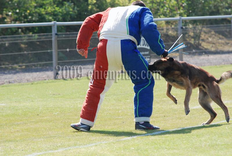 3 EME SELECTIF 2009 GRANDE SYNTHE 216.jpg